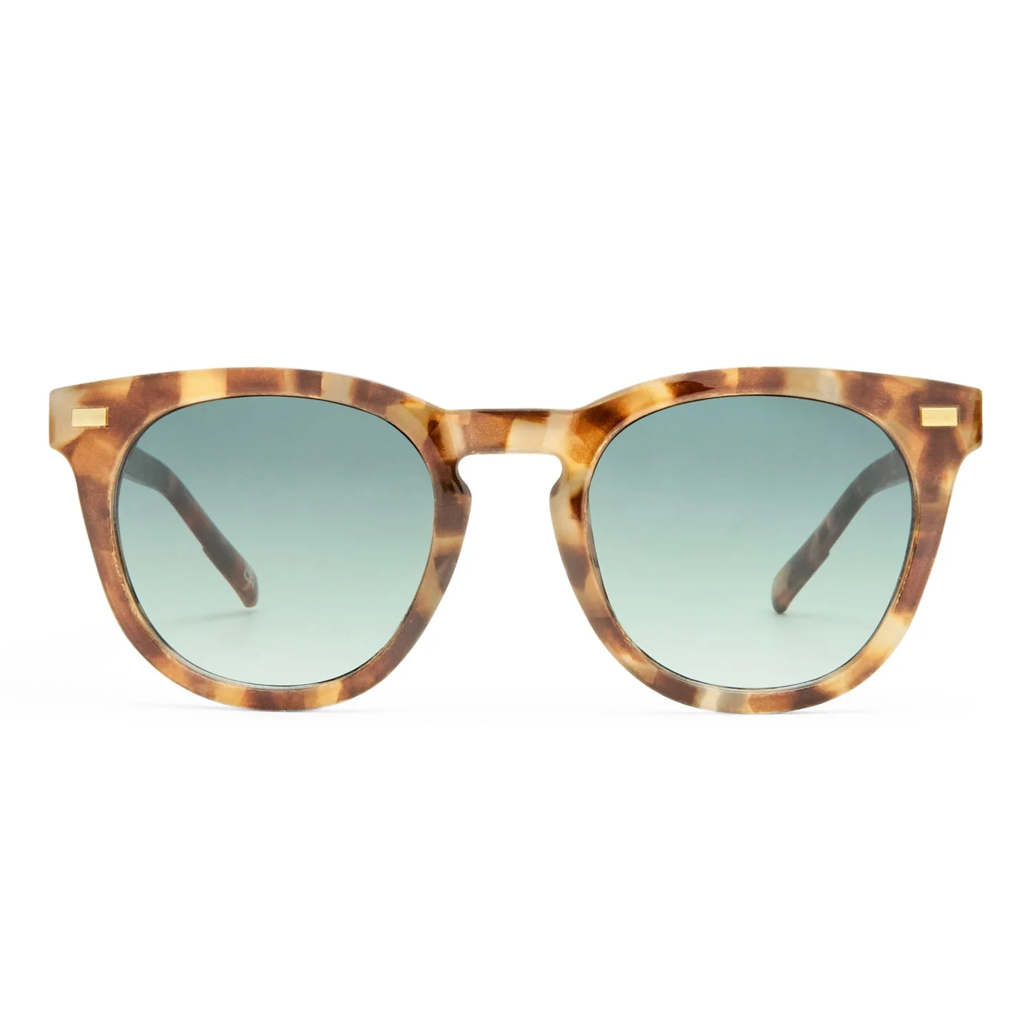 Aire Evolution Glasses Dark Torte - Image 5
