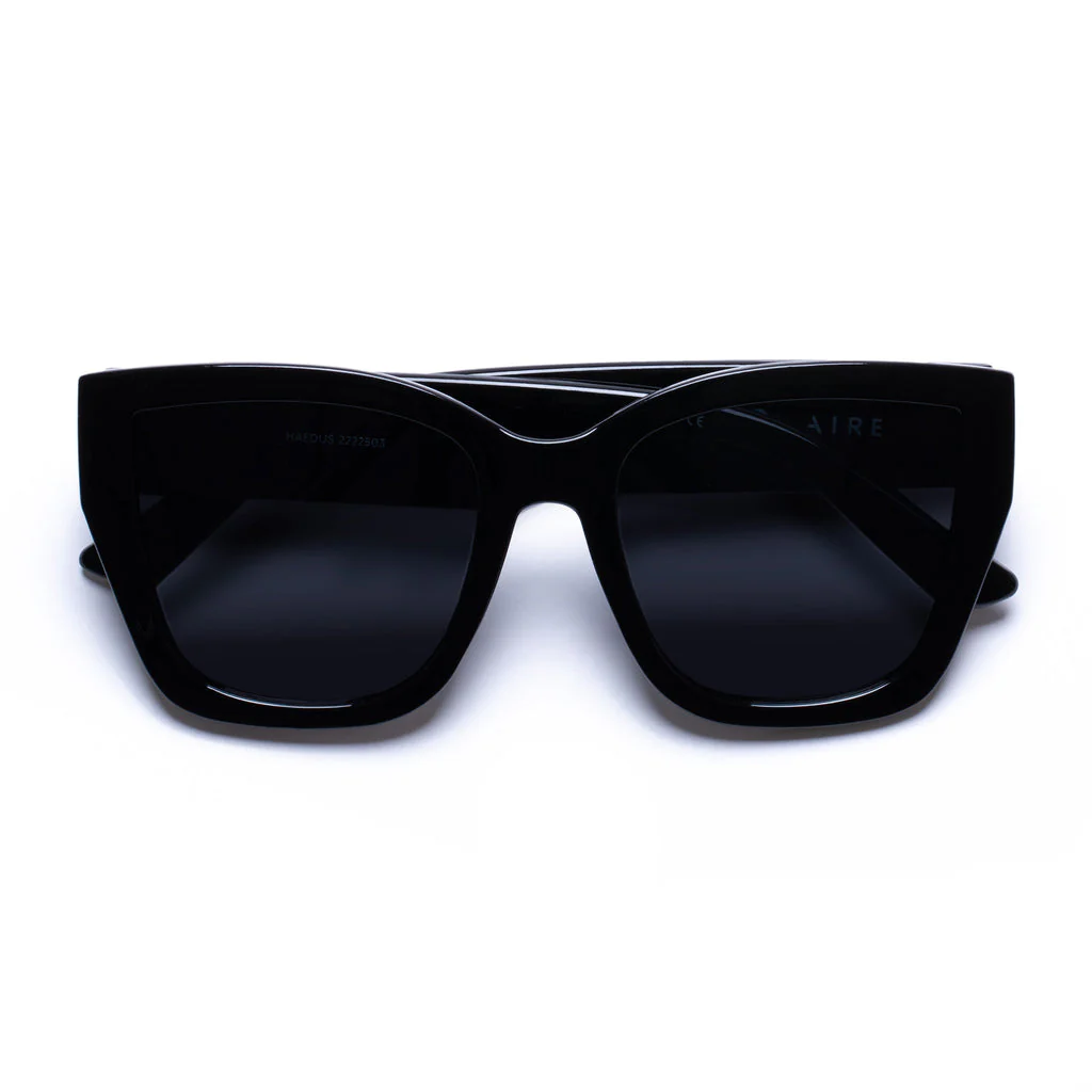 Aire Haedus Sunglasses Black - Image 9