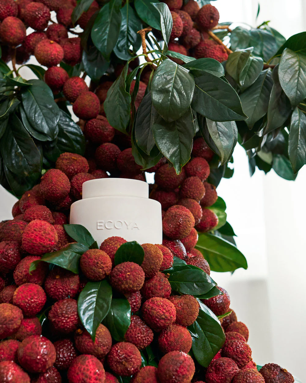 Ecoya Soy Wax Melts Guava Lychee Sorbet - Image 4