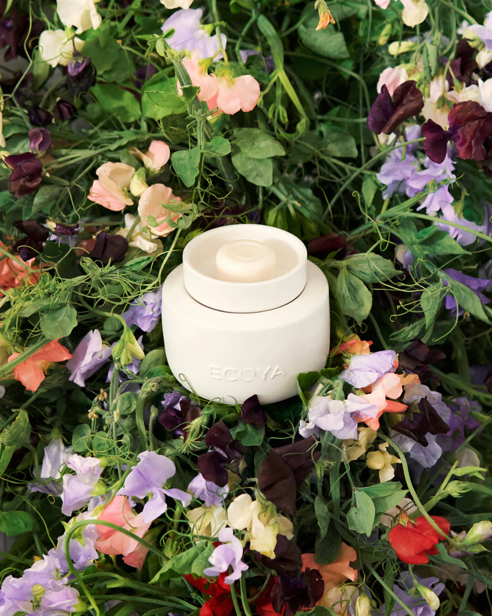 Ecoya Soy Wax Melts Sweet Pea & Jasmine - Image 2